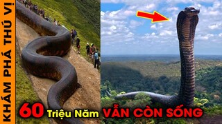 🔥 15 Quái Vật Tiền Sử Nguy Hiểm Và Đáng Sợ Nhất Trên Trái Đất | Con Số 7 Vẫn Còn Tồn Tại | KPTV