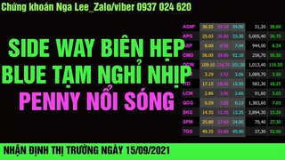 Chứng khoán hôm nay | Nhận định thị trường ngày 15/09/2021. Điều chỉnh biên hẹp. Penny nổi sóng
