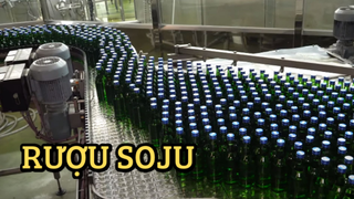 Nhà máy sản xuất rượu Soju Hàn Quốc | Food Kingdom