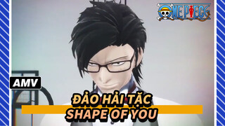 [Đảo Hải Tặc|MMD] Kyoraku Shunsui&Soi Fon-Shape of you