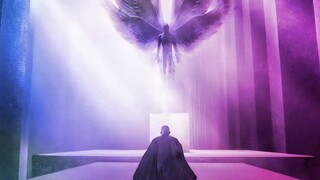 男人抓到一个天使，不但进行残忍的实验，而且还向天使族开启大战