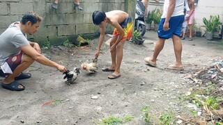 ala sugat win
