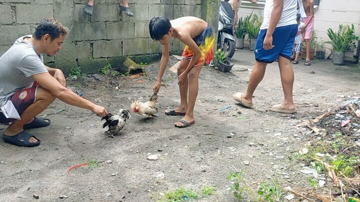 ala sugat win