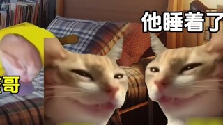 Ketika anak-anak Hong Kong dibawa secara paksa ke Shenzhen untuk pariwisata.