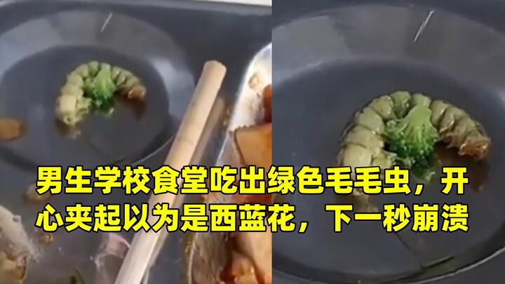 Nam sinh ăn cơm ở căng-tin trường phát hiện con sâu xanh, vui mừng gắp lên vì tưởng là súp lơ xanh, 
