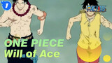 ONE PIECE 【Tesoro】I will inherit the will of Ace_1