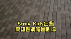 Stray Kids台灣高雄場演唱會心得