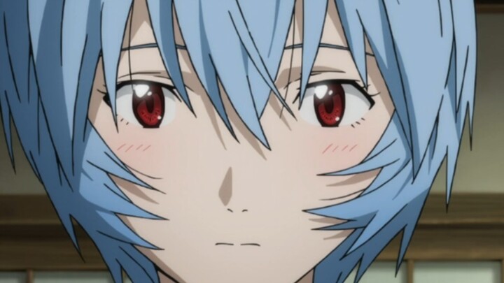【EVA/Ayanami Rei】Numb little bug