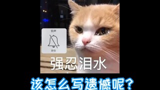 ชอบมาก สั้นมาก น่าเสียดายมาก