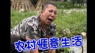 农村日常就这生活，鸡鸭鹅狗一日三餐