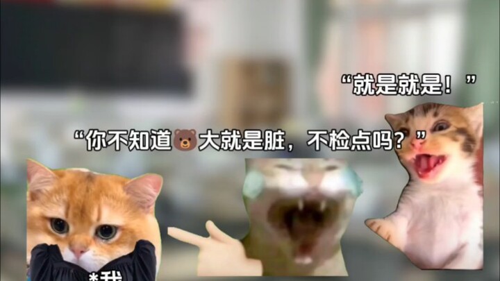 How does it feel to be teased by male classmates for having big breasts? (Cat meme)