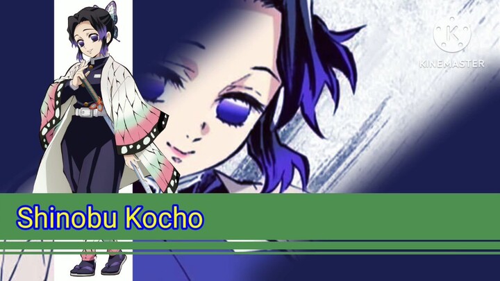 Mega Man X6 Custom Shinobu Kocho Boss Intro Desblazeheatnix