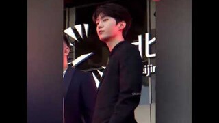 visual Phạm Thừa Thừa