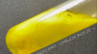 Give me a piece of gold, and I'll treat you to see Jin Hai.