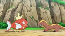 [S24 Alola] Pokémon Tập 1057 Chương trình mới! Giai điệu của Koiking tí hon