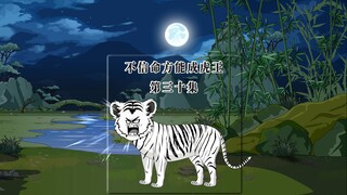 小雌虎的可怜身世也是被伤虎妈的雌黑熊造成的