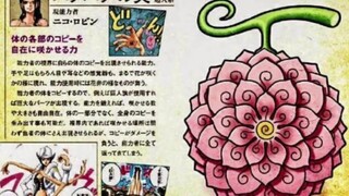 花花果实潜力无限！进击的巨人罗宾军团！#148