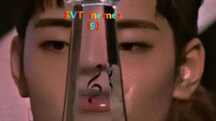 SVT’s Overseas Memes (9)
