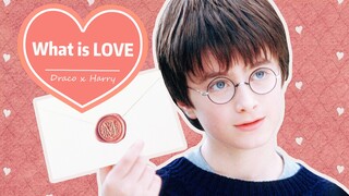 【HP/DH/德哈】What is Love? 高甜预警,全糖奶味!!!德哈,好甜一cp!!!