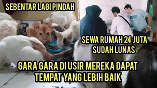 Sewa Rumah Untuk Kucing 24 Juta Sudah Lunas Hore Sampai Di Peluk Sama Kucing Jalanan Yang Datang..!