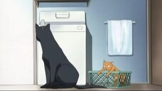 Hóa Giải Lời Nguyền Tập 06