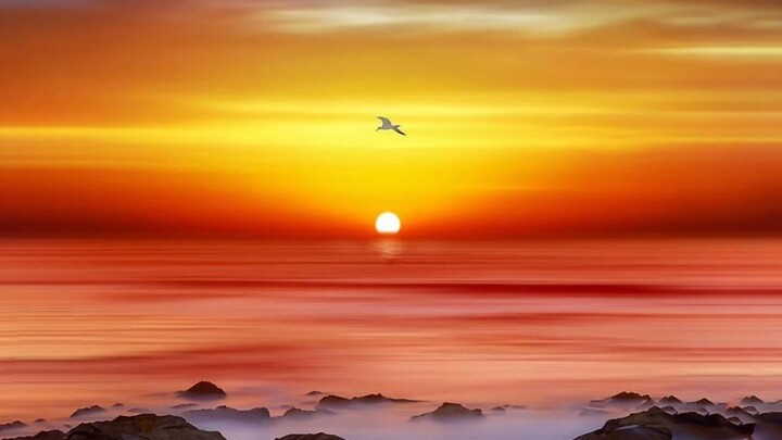 “Kegagalan bukanlah akhir, yang penting adalah tak kehilangan keberanian untuk terus melangkah”