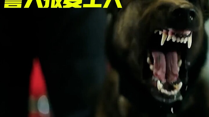 This police dog seems to have spotted something, barking furiously at a man in the short clip.