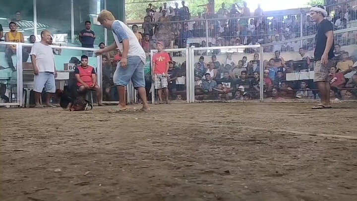 2 hits ulutan champ  (lupon galleria)