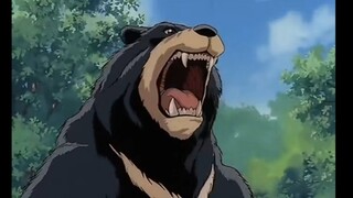 （第一神拳）鹰村VS熊🐻