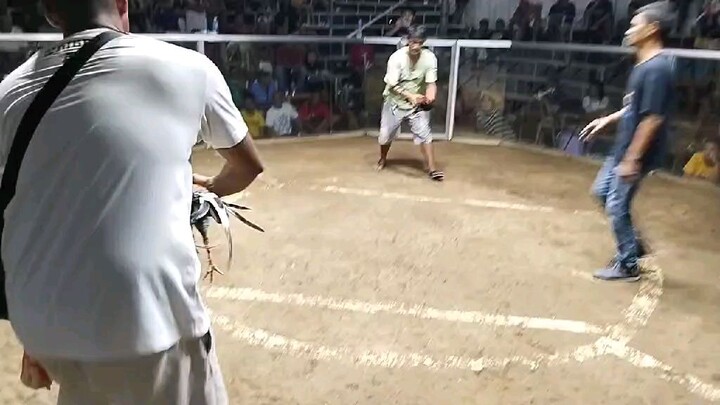 2nd fight.. Pachampion