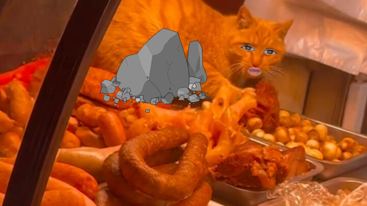 猫咪：冒昧的家伙