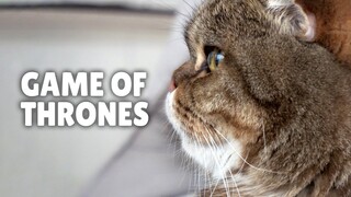 Game of Thrones | Kittisaurus Villains