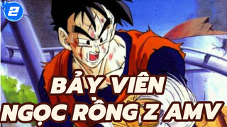 Kỷ nguyên tuyệt vọng! Bảo vệ tương lai của người Saiyan | Bảy Viên Ngọc Rồng ZAMV_2