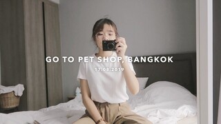 vlog #17 ไปร้าน petshop ที่ Eastville , มากิเปลี่ยนอาหาร | mackcha