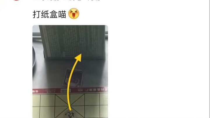 Catur, tapi langkahnya ditentukan oleh komentar dengan jumlah suka tertinggi (Hari ke-26)