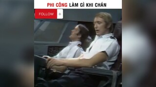 Phi công làm gì khi chán