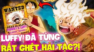 LUFFY ĐÃ TỪN RẤT GHÉT HẢI TẶC?! | TUỔI THƠ CỦA LUFFY BÁ ĐẠO CỠ NÀO?!