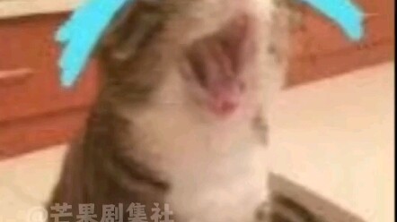 When will parents ever bend down to really see their own kids?! These parents… they’re seriously so 