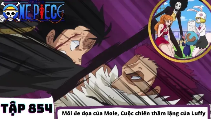 One Piece Tập 8 8 0 Sabo đến Mary Geoise đảo Hải Tặc Tom Tắt Anime Bilibili