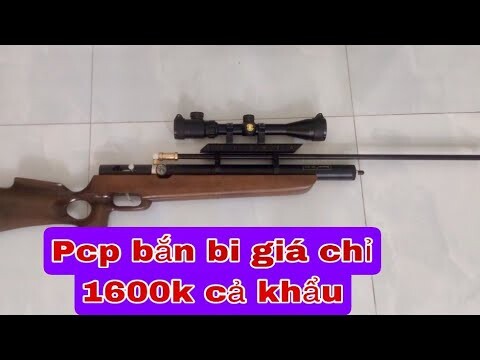 Pcp Truyền Thống Bắn Bi 1600k Cả Khẩu mời ae thẩm || Pcp Bắn Bi Giá Rẻ