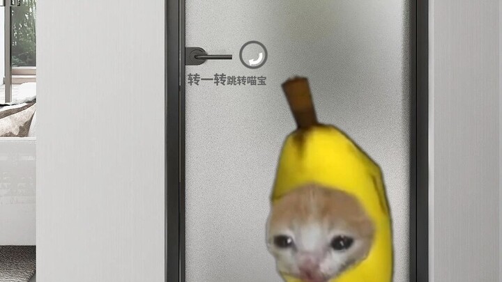 The kitties keep getting redirected to weird places lately.