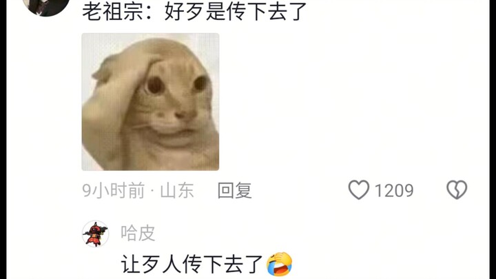 Boss, will we really win the Lion King by being this cute?