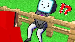 TV WOMAN Stuck in the FENCE, MAIZEN Pranked in Minecraft! - Parody Story in Minecraft (JJ and Mikey)