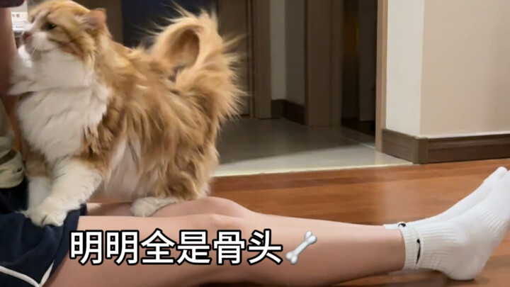 ในการเลี้ยงให้มันกลายเป็นลูกติดแม่แบบนี้ ฉันไม่ได้ใช้วิธีลัดเลยสักนิด!