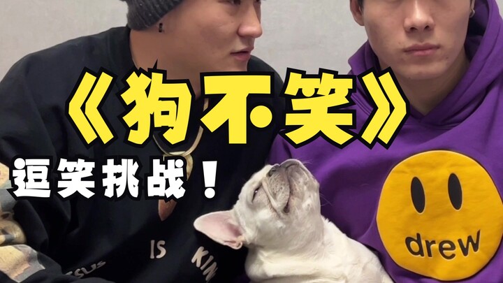 Only Dogs Don't Laugh