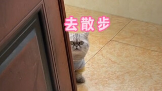 ทำไมการเดินเล่นที่ว่าดีกลับกลายเป็นพาร์คัวร์ไปได้??