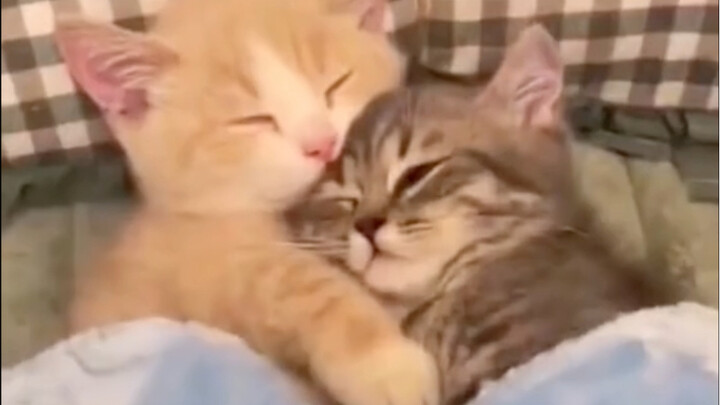 Baby, what are you doing? Mu, are you there? Are you asleep?