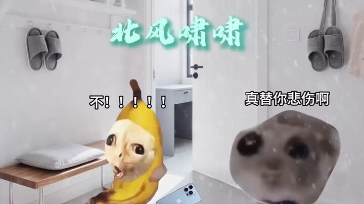 Ngay khi em trai biết trường học khai giảng sớm, tôi – người đã tốt nghiệp đại học…