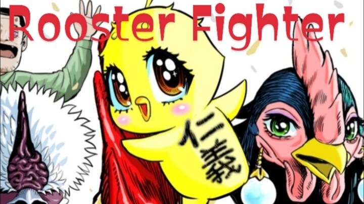Rooster Fighter ""Litle Baby Chick "