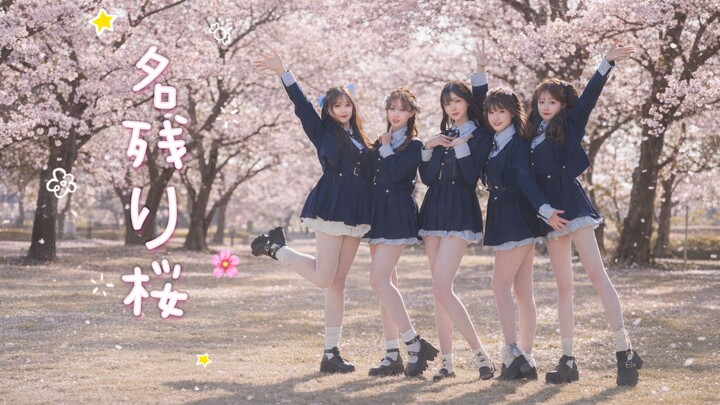 【Cover Dance - Versi 5 Orang dengan Formasi】🌸Namidare Sakura🌸 Setiap tahun kita pasti bertemu di baw